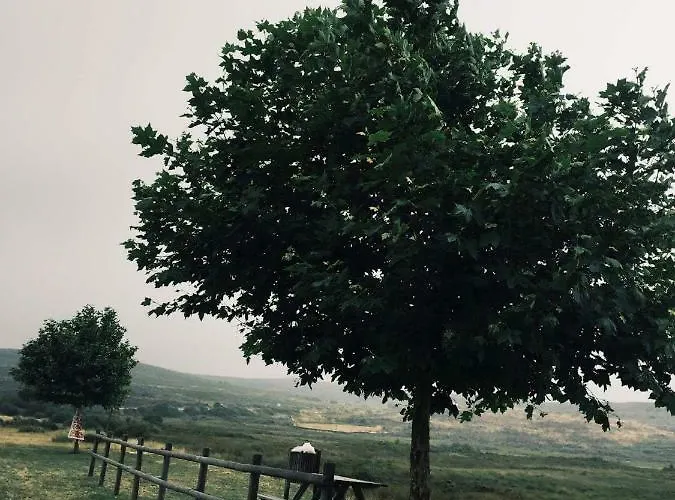 Casa Da Cris Hébergement de vacances